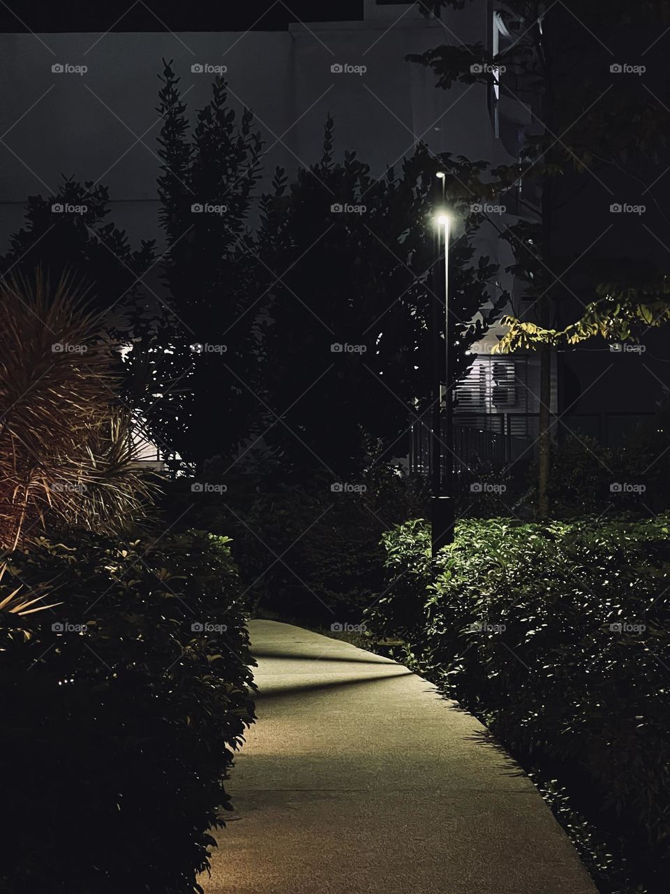 Strolling through the park