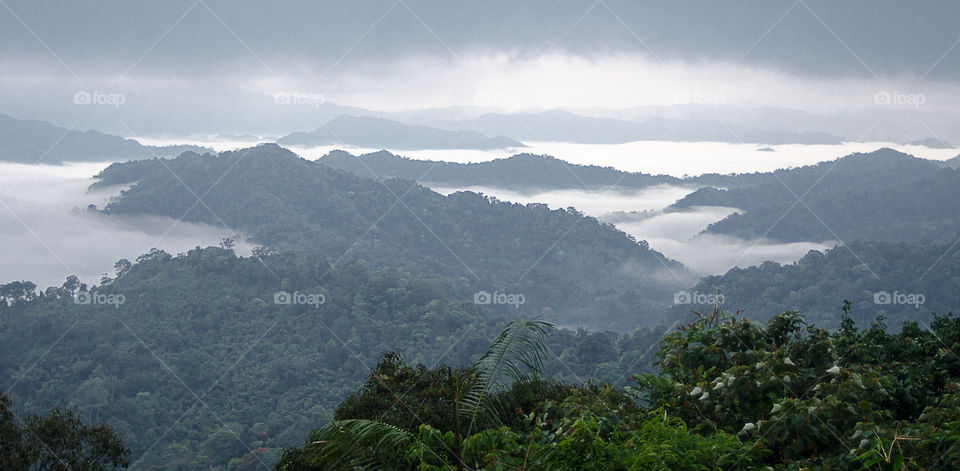 Sea of mist on the mountain.
