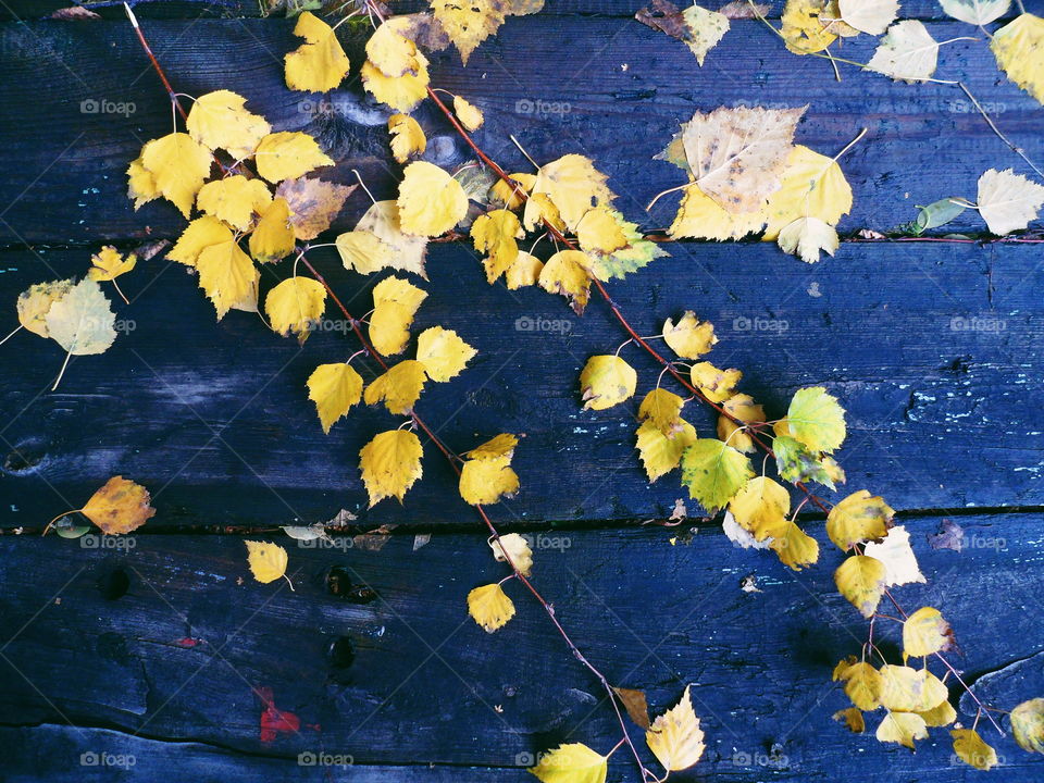 Autumn leaves on a wooden table