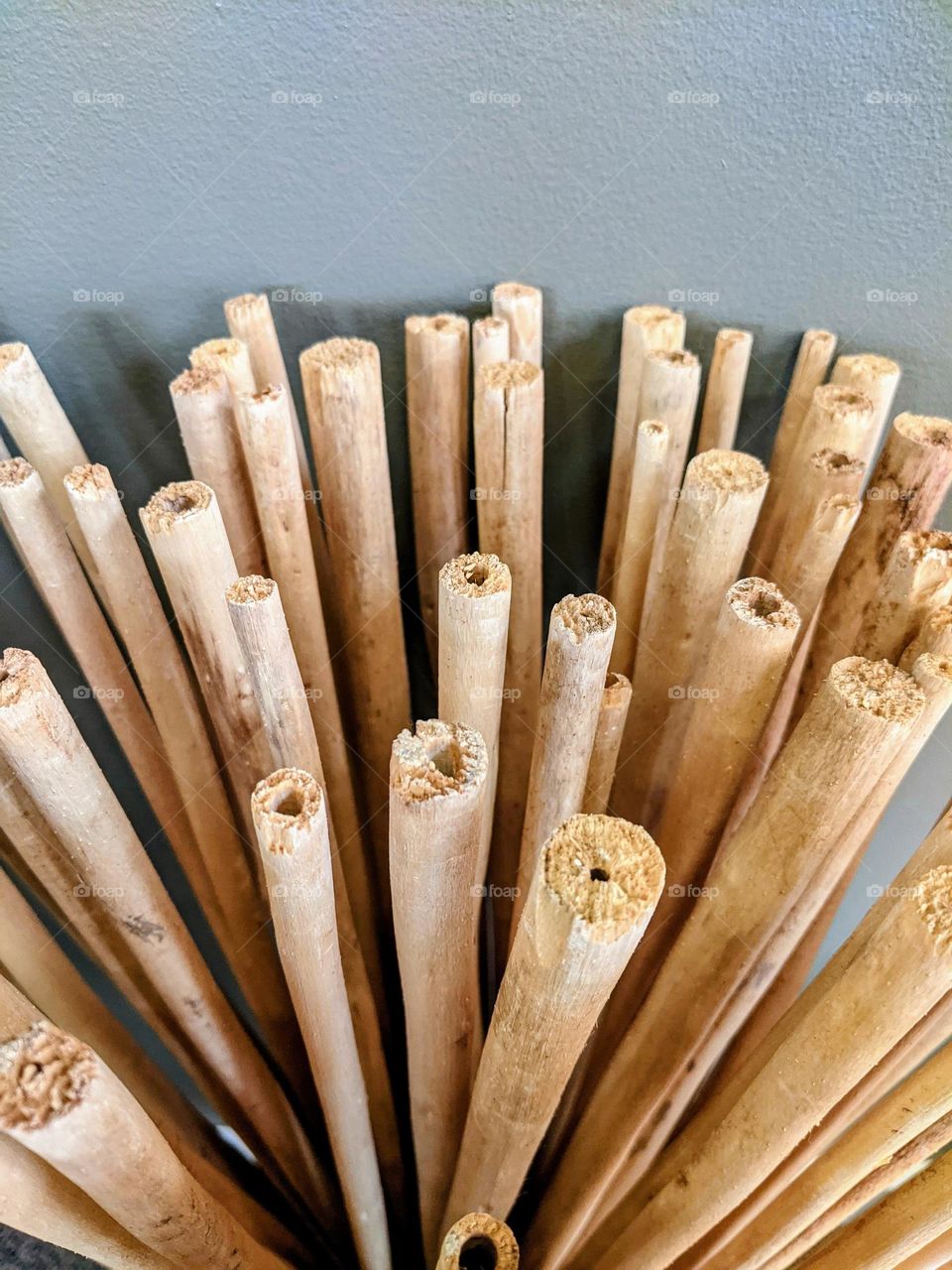 Shapes: circle reeds