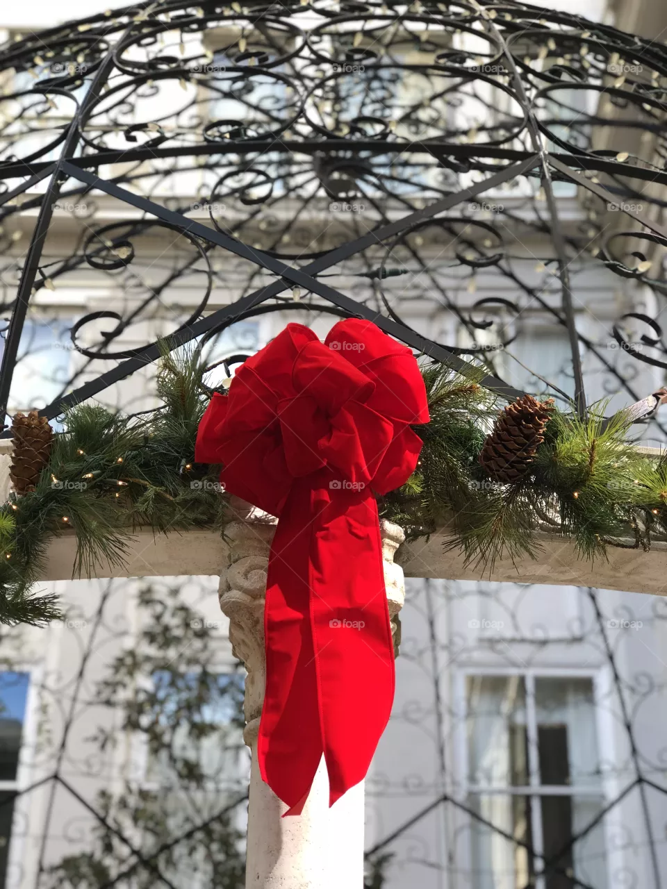 Nola