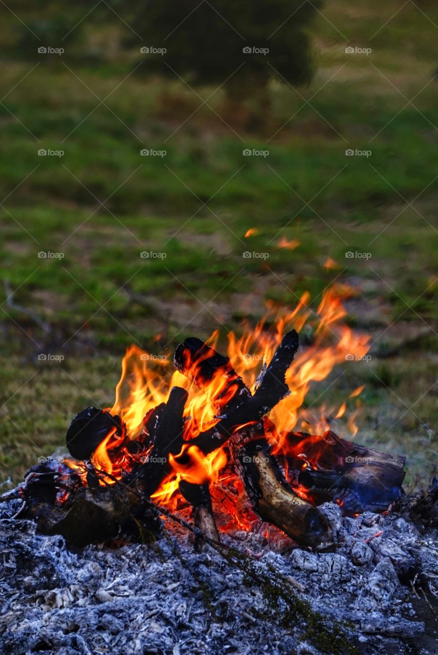 Campfire