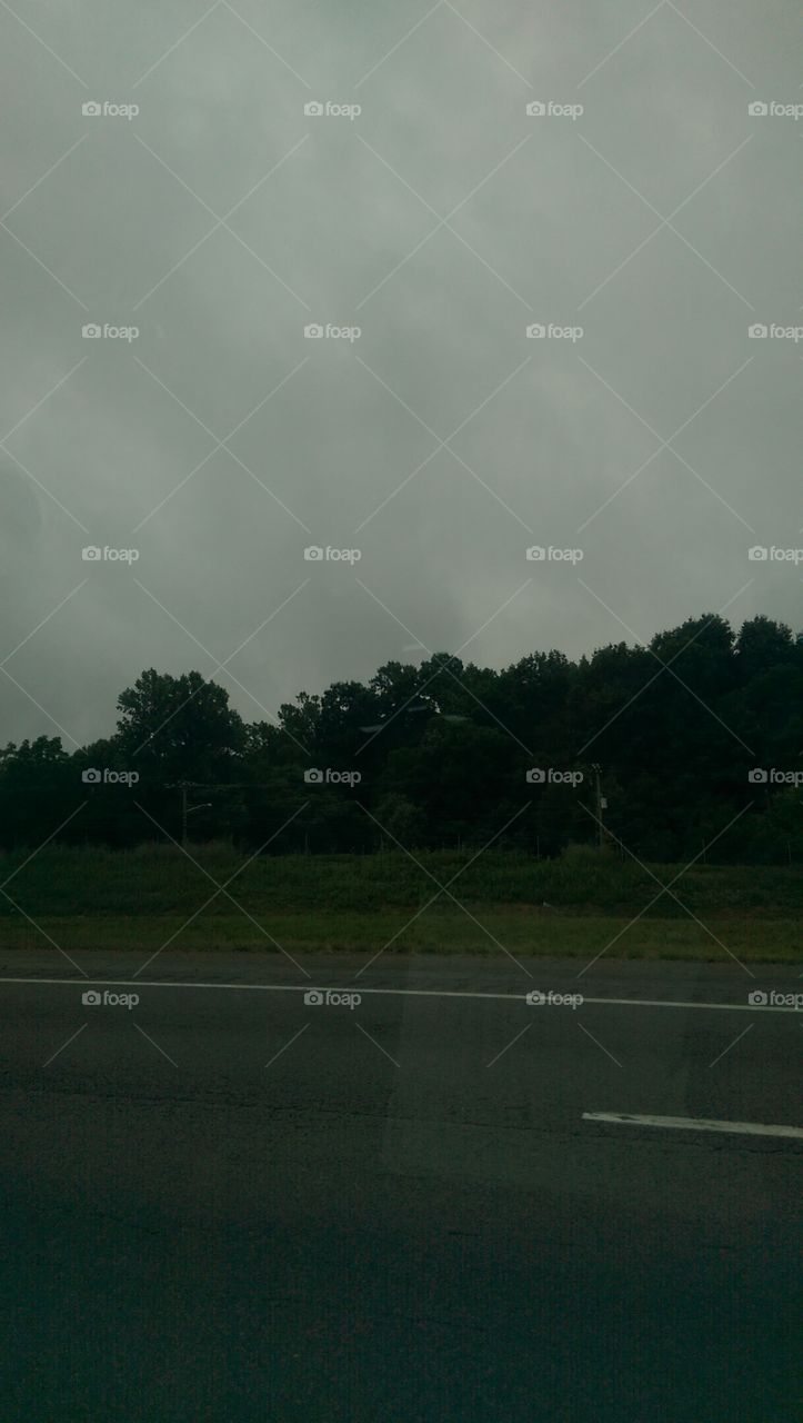 Landscape, No Person, Tree, Fog, Light