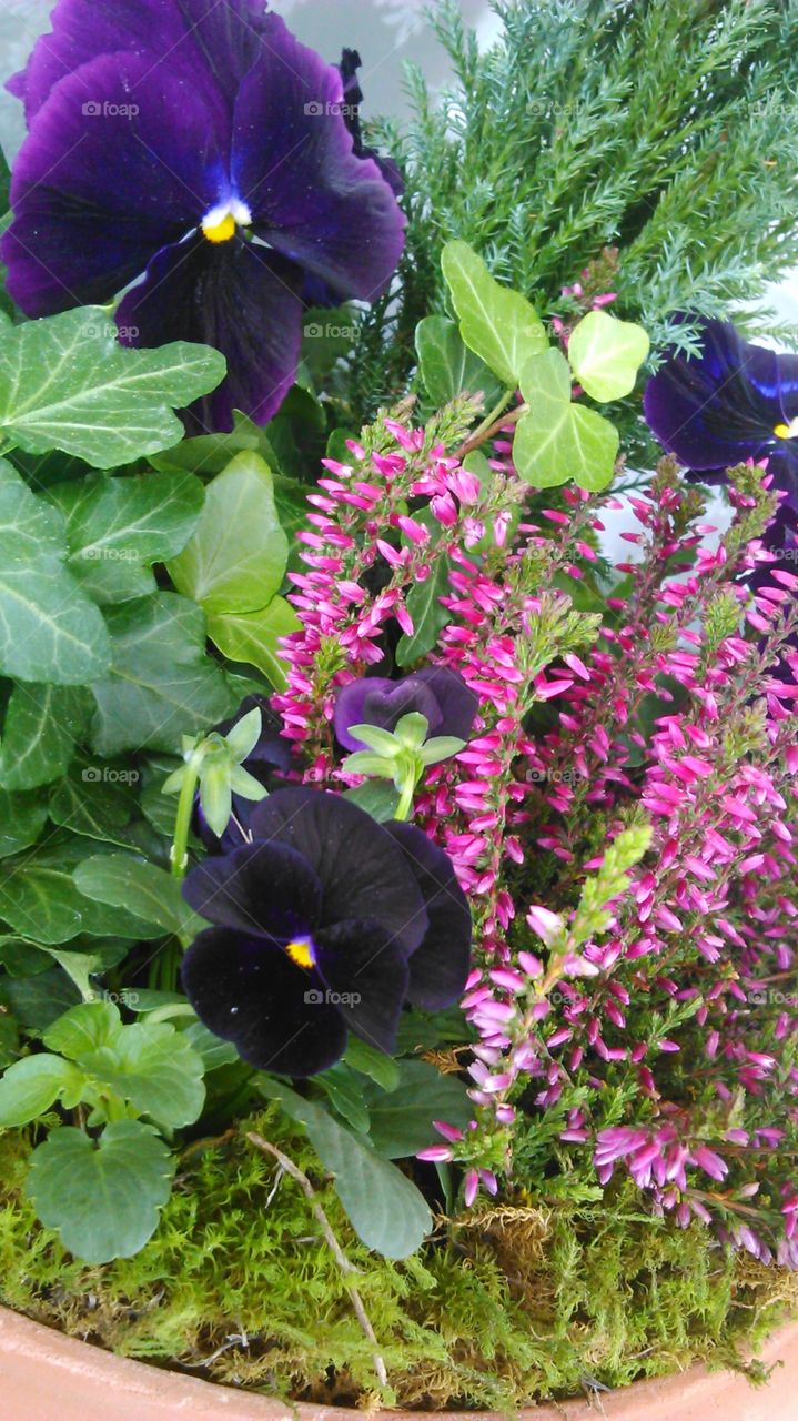 The bright side of autumn