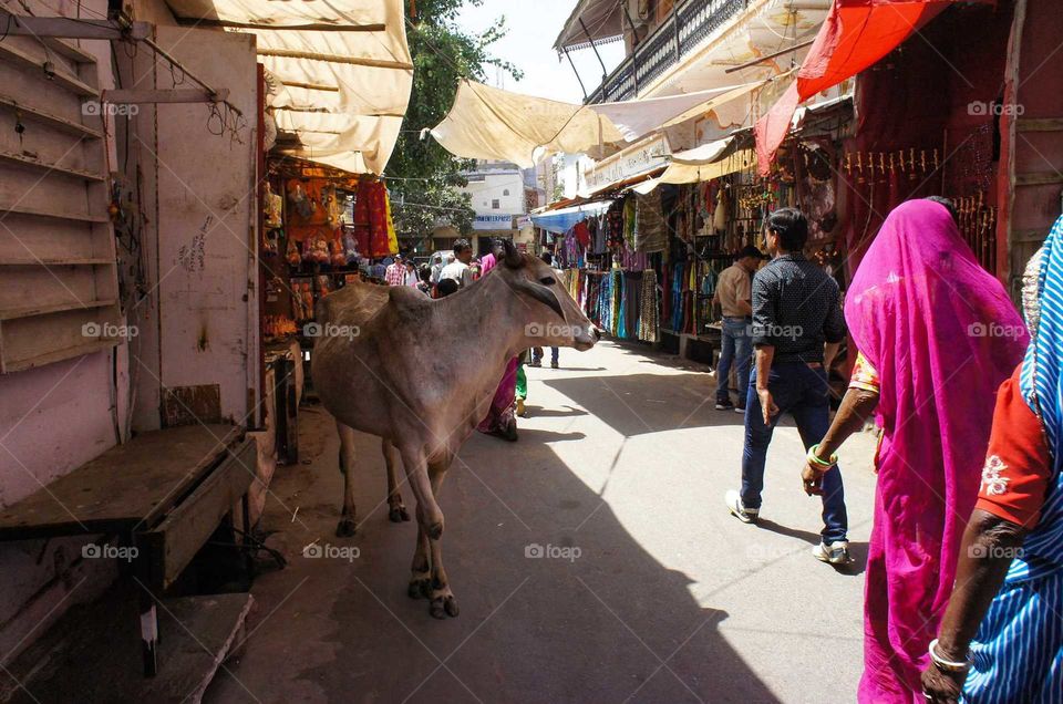 Just an Indian street