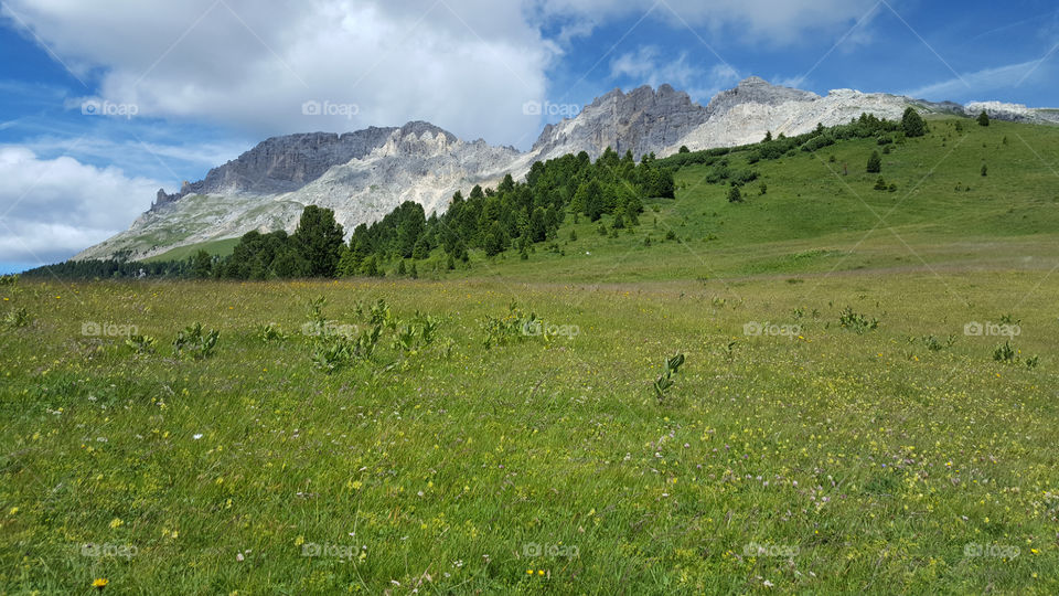 Hiking on the meadow in the mountains 