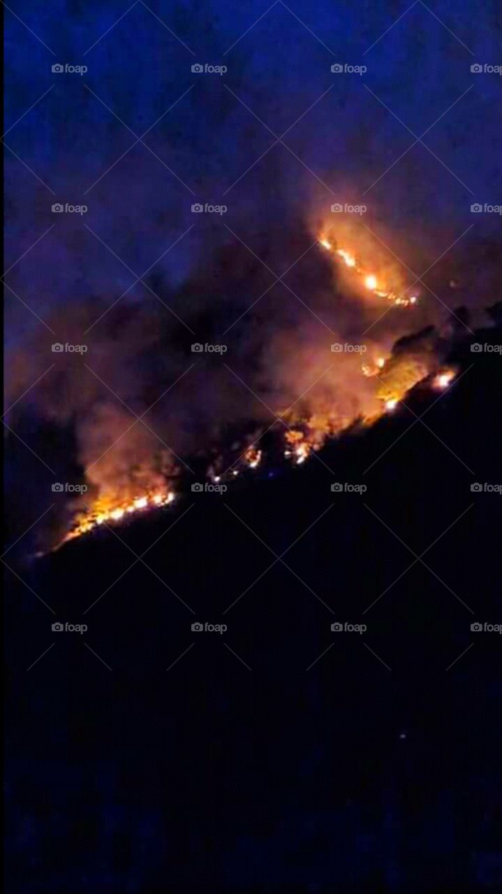 burning ella forest - srilanka