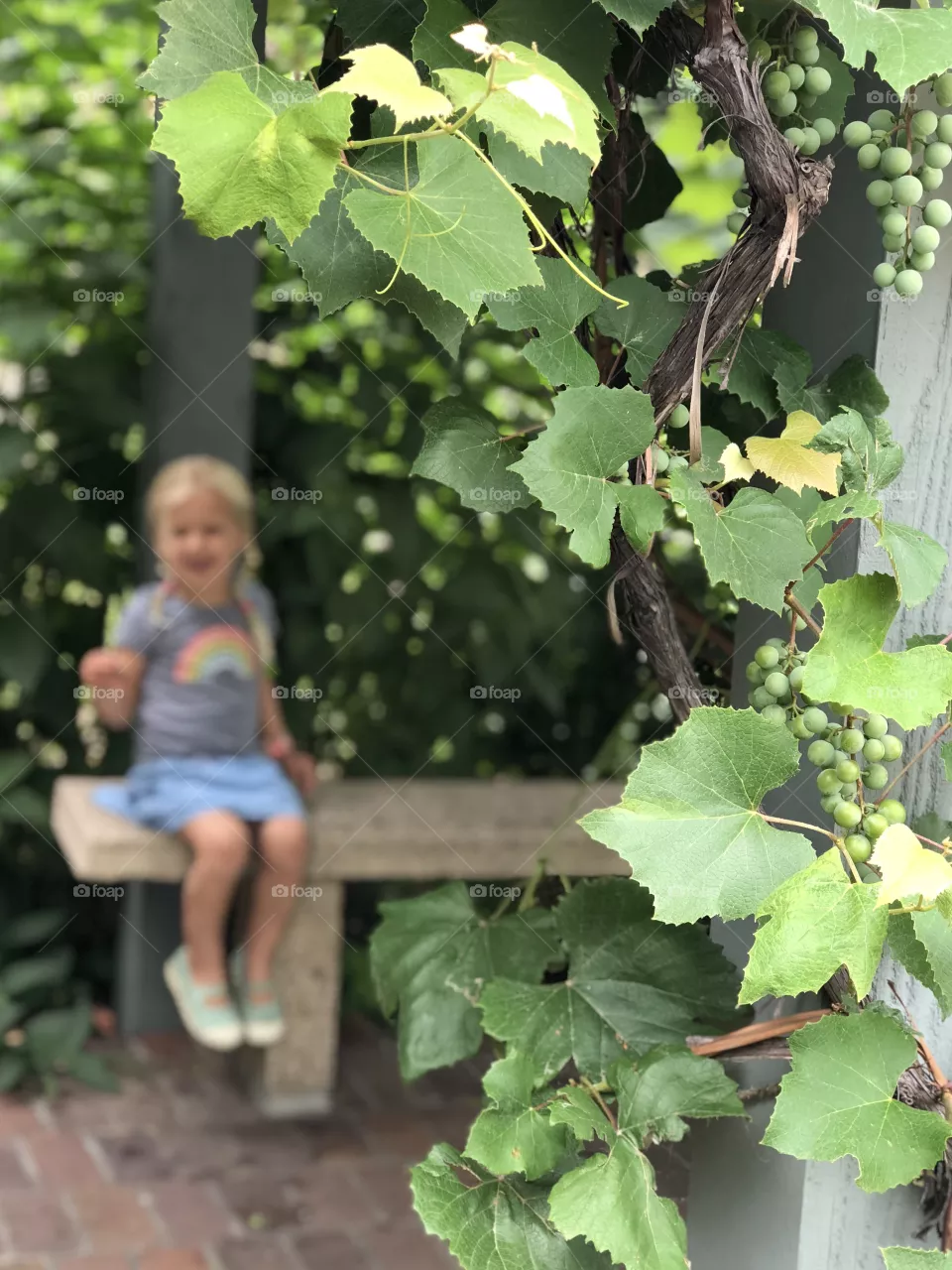 Grapes