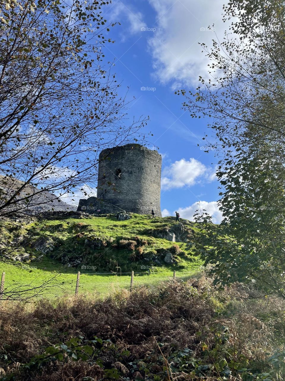 Tower in Wales 