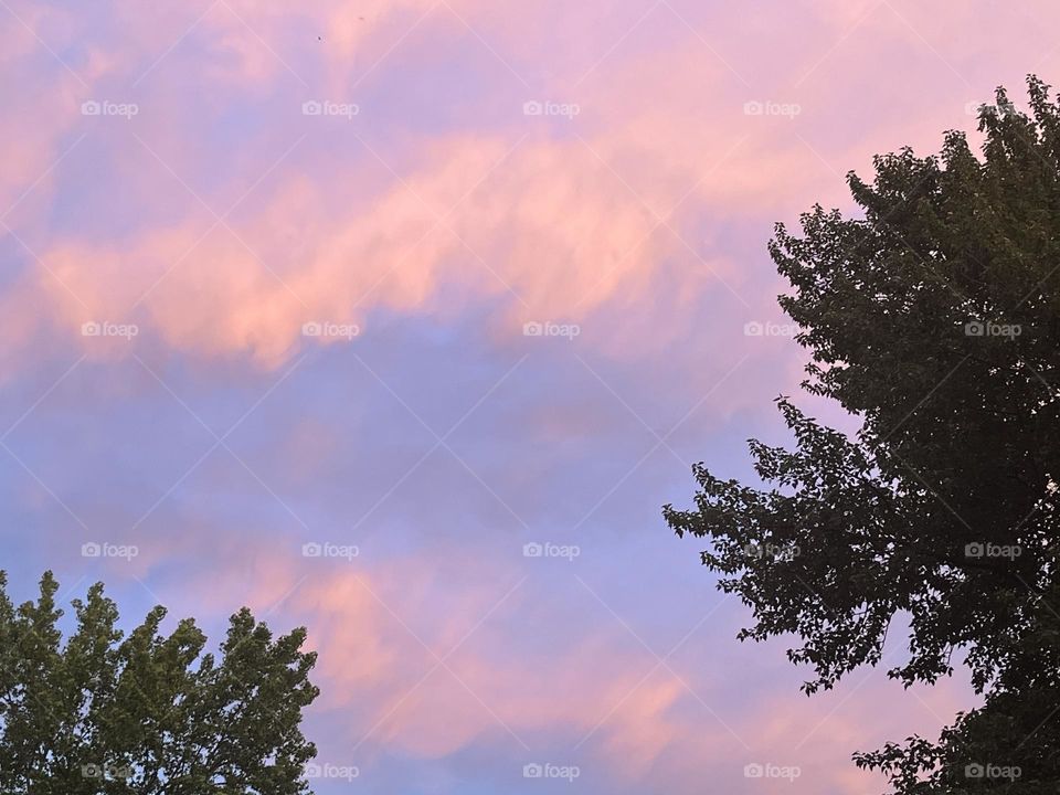 Pink and blue beautiful skyline