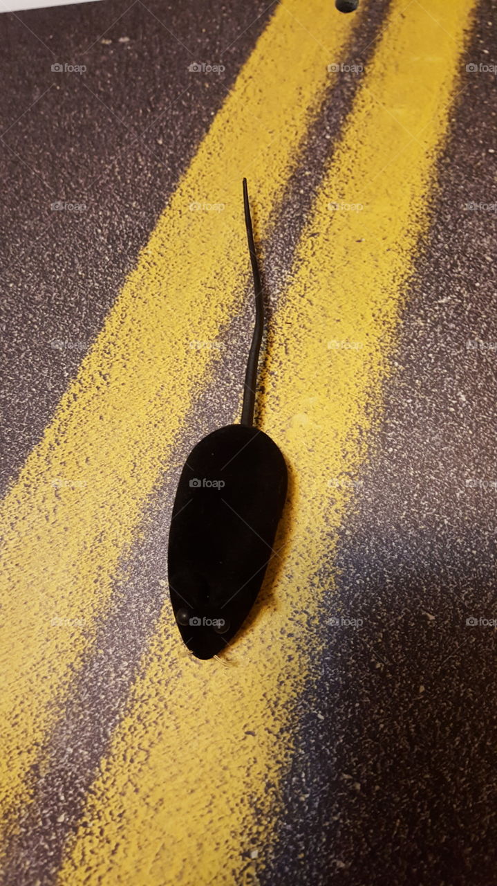 black mouse on a road