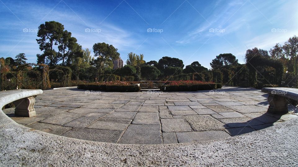 Otoño Autumn Perspectives