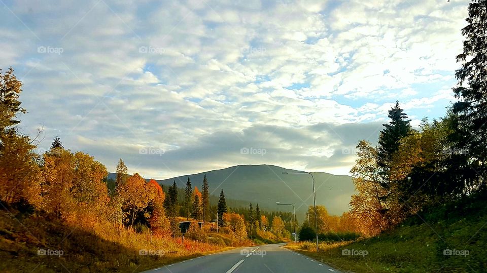 Beautiful autumn view