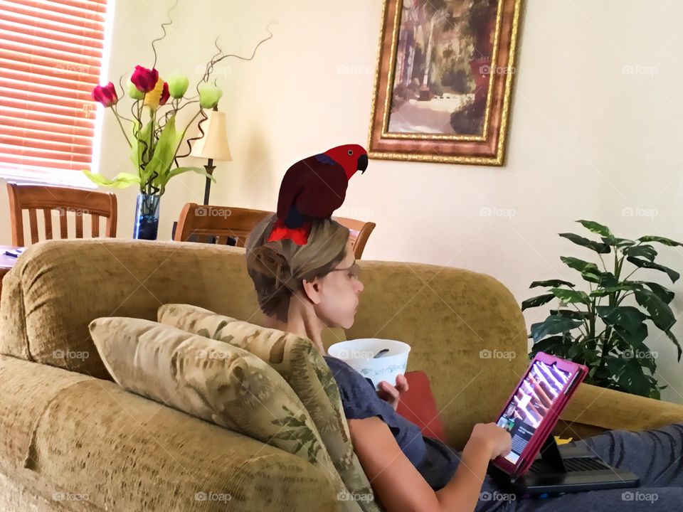 Woman relaxing with her computer, her food and a red pet parrot on top of her head going through her daily ritual.