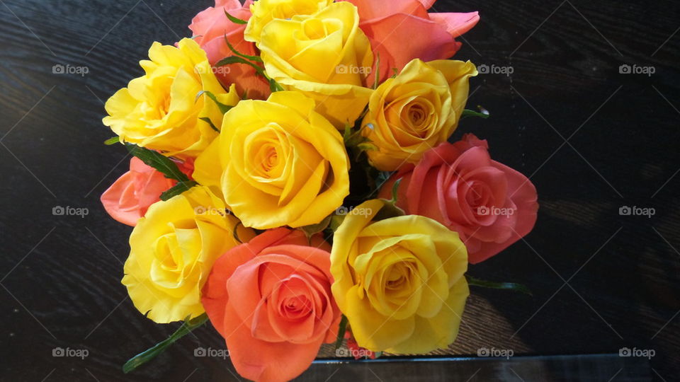 coloured roses
