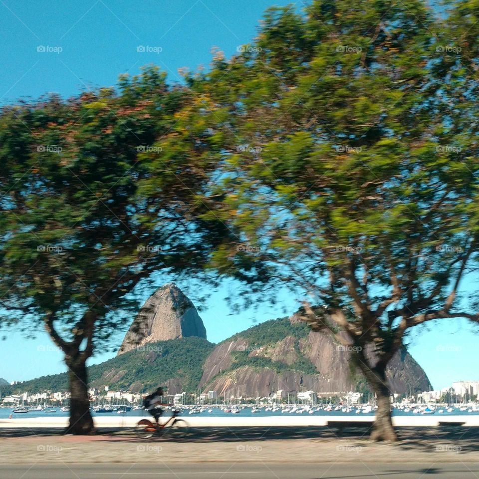 botafogo Beach and sugar loaf