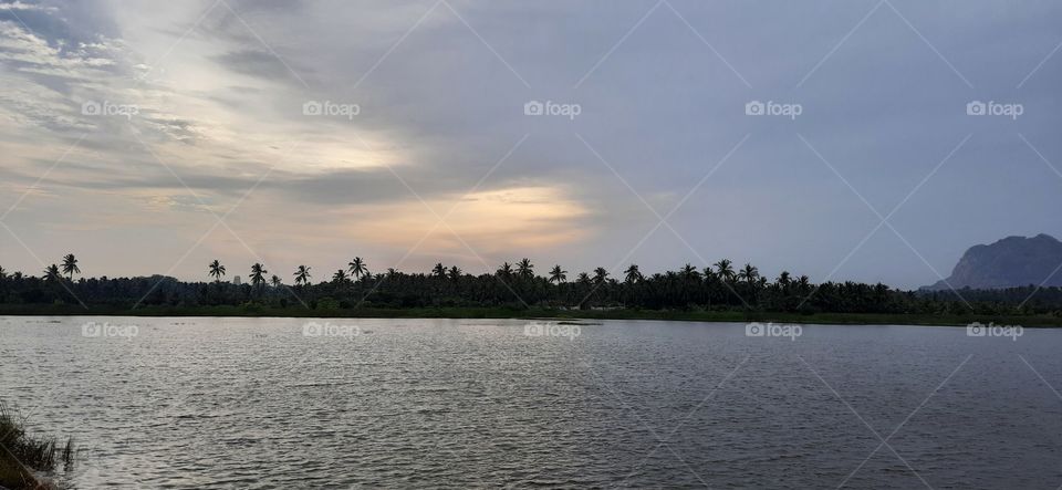 Coconut farm after the river...Such a view