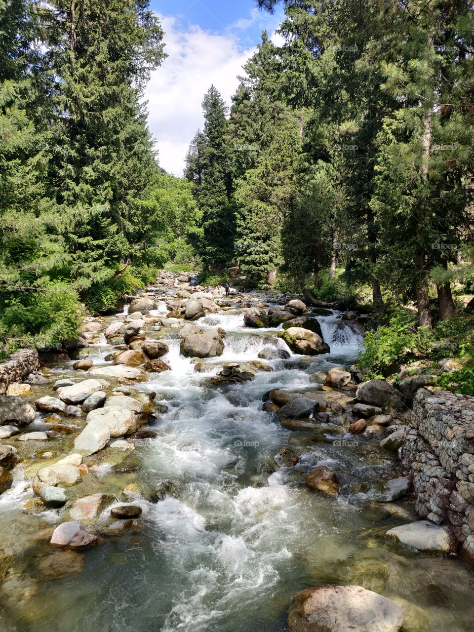 A White Water Stream In Daksum Kashmir