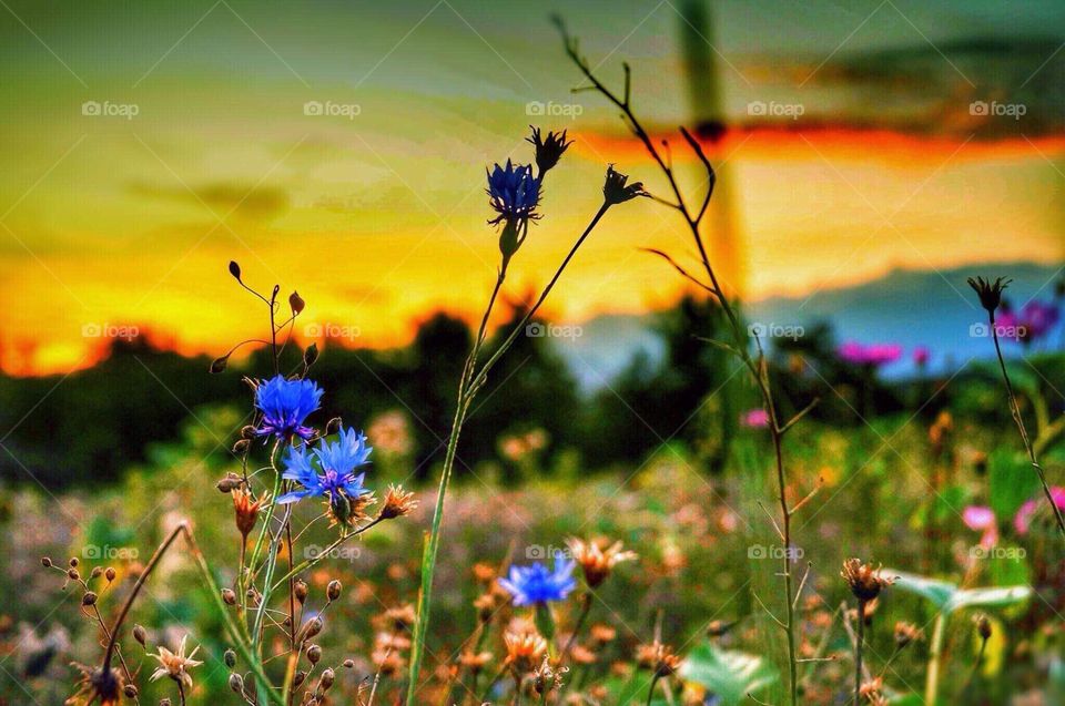 First signs of autumn 