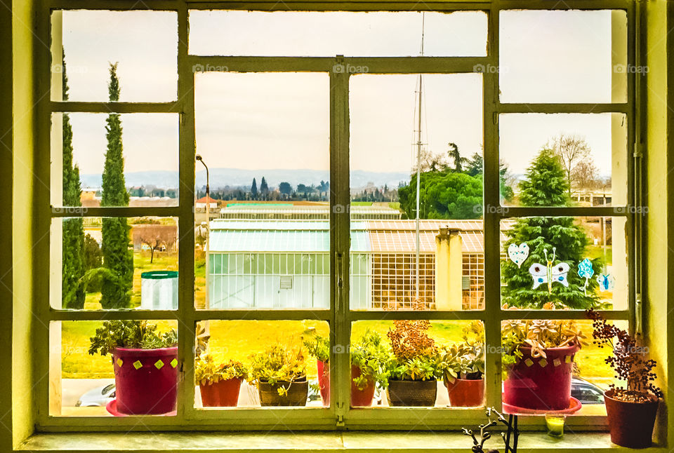 Flower Pots At Window
