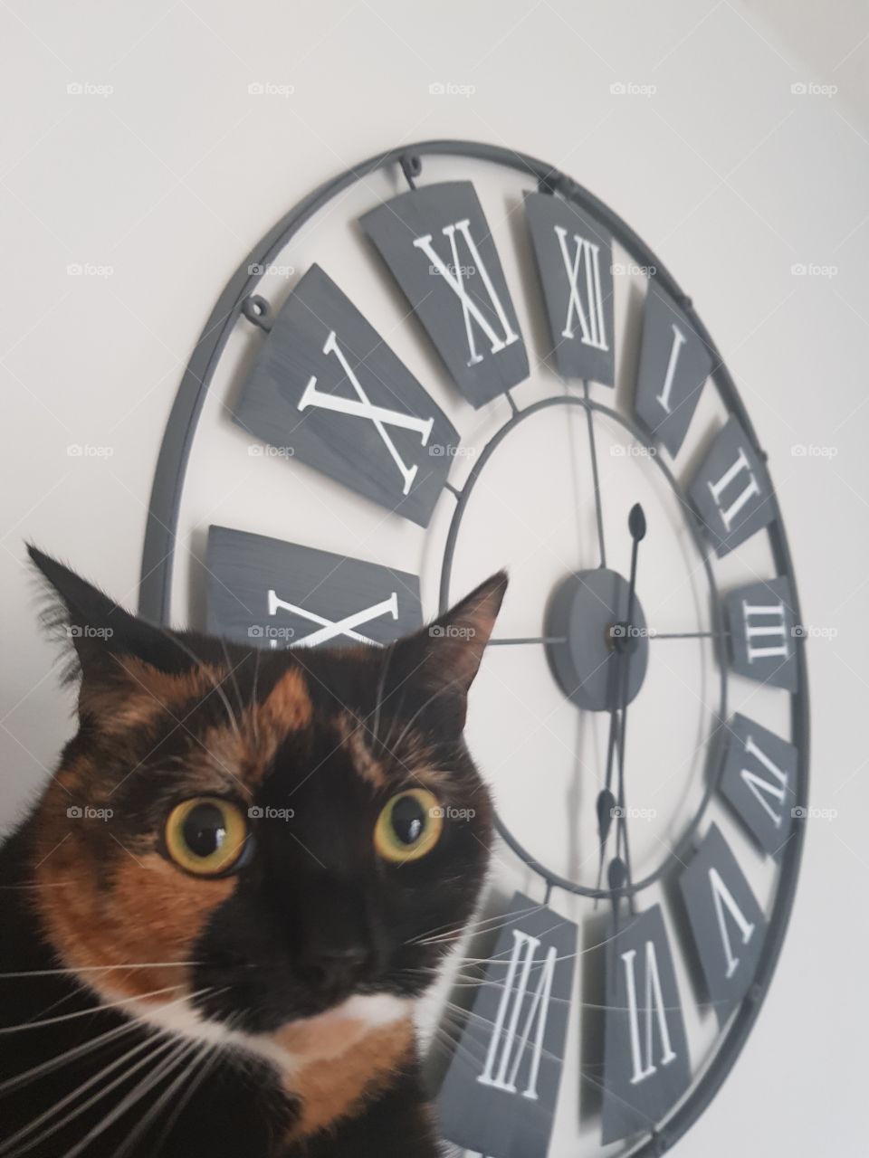When you remember the clocks have gone forward!