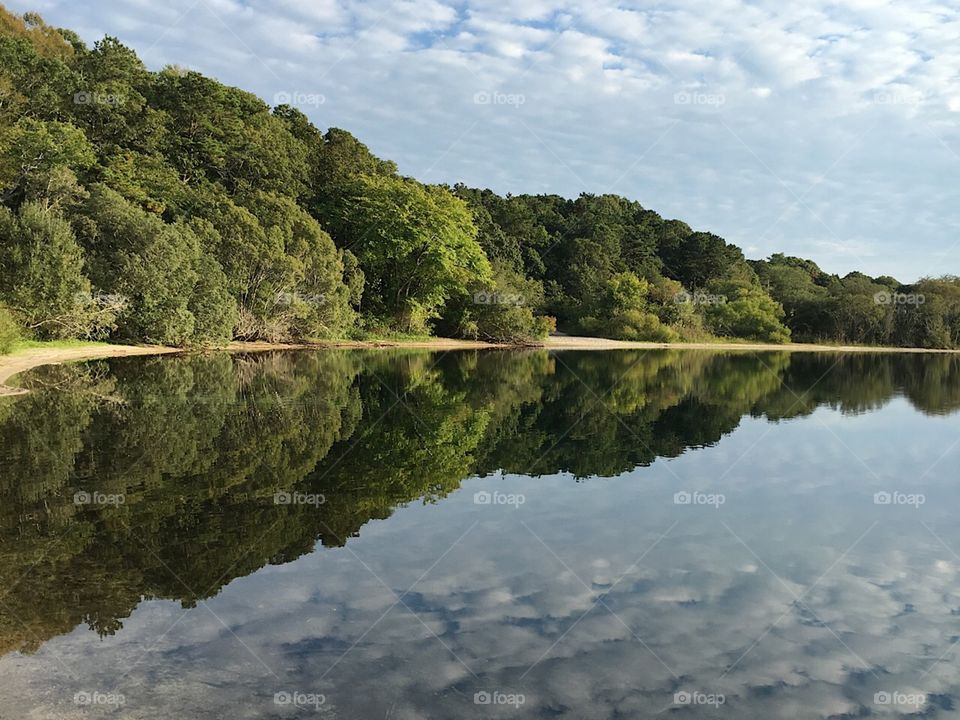 Very cool picture I took of the reflection of trees on the water. Look at this picture from different angles to truly capture the it's many difference essences of beauty!