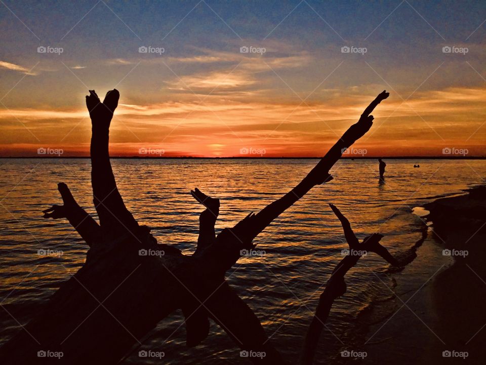 
The color of twilight and sunset. The dramatic hurried rush of orange collapse as the sun sank below the gorgeous, cloudy skyline. Fallen tree silhouette. 