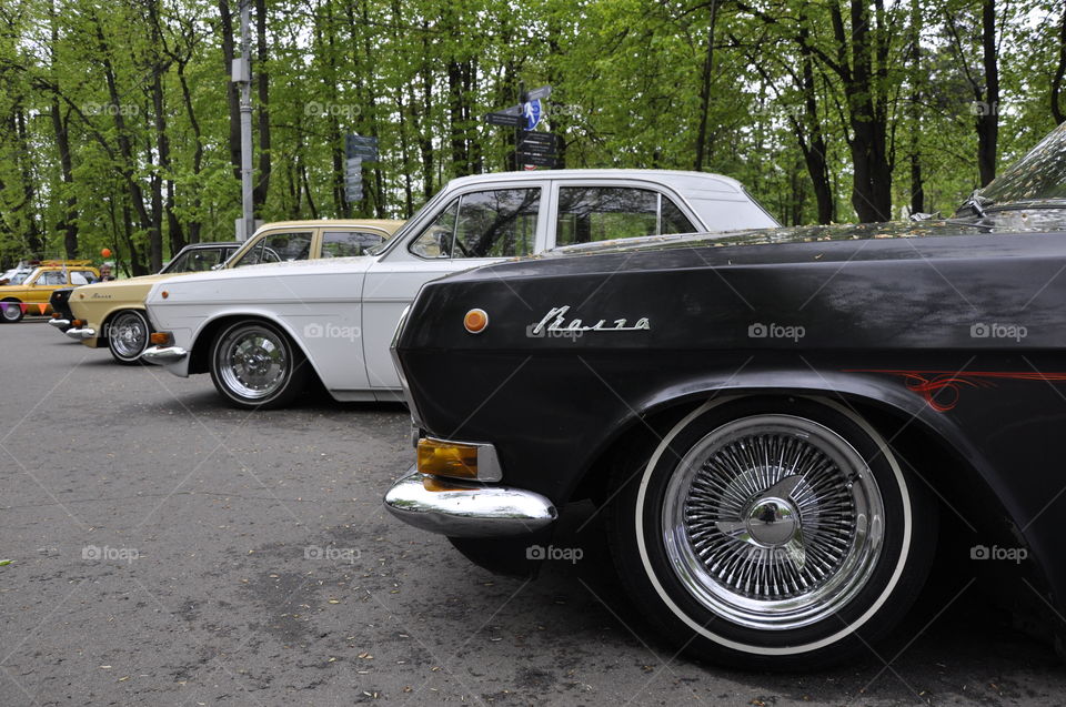 Understated Volga stands in the Park