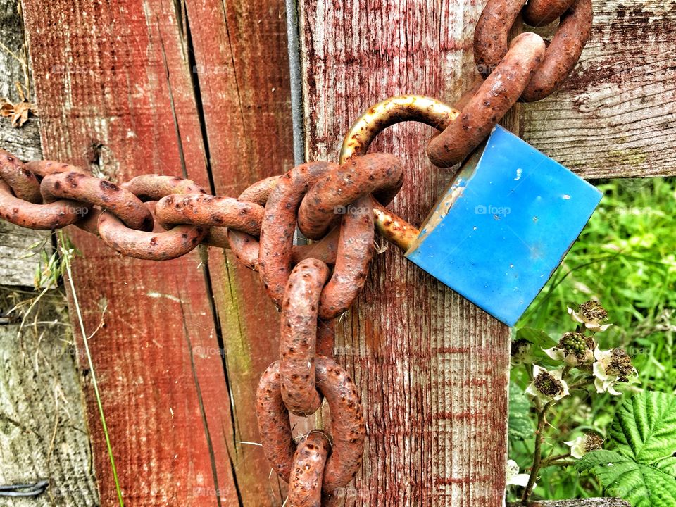 Rusty Padlock And Chain