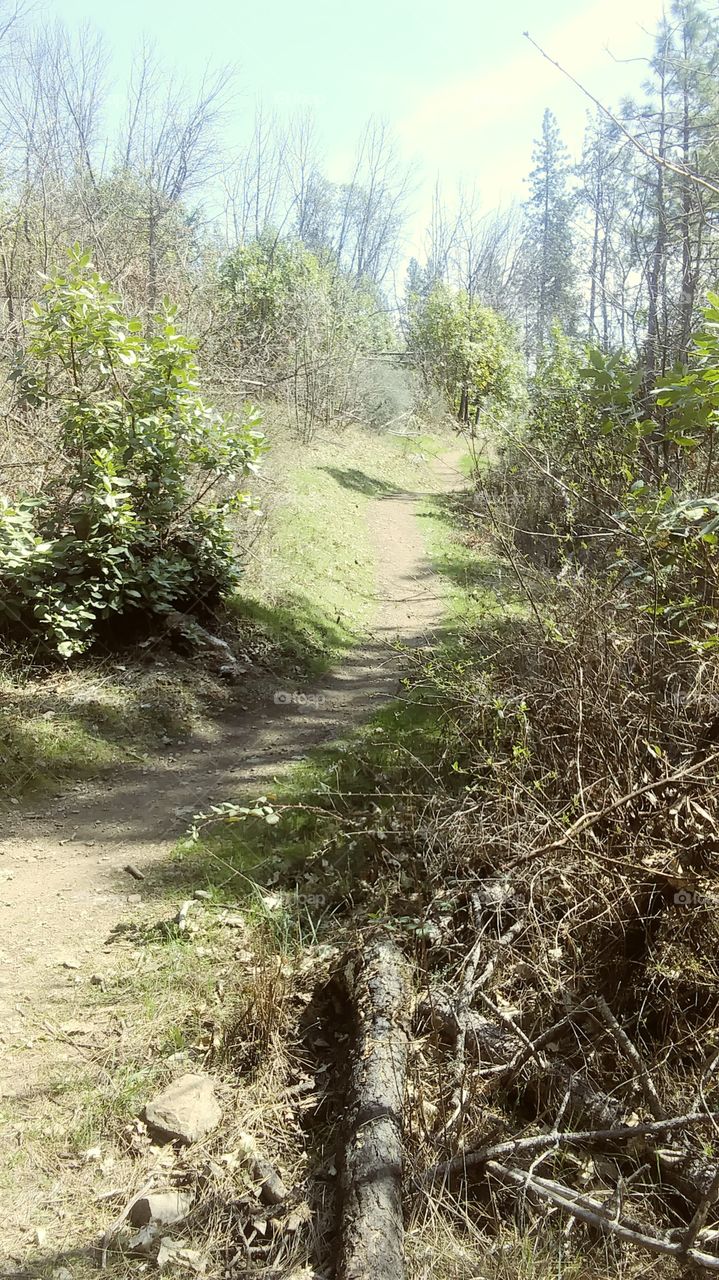 trail pathway