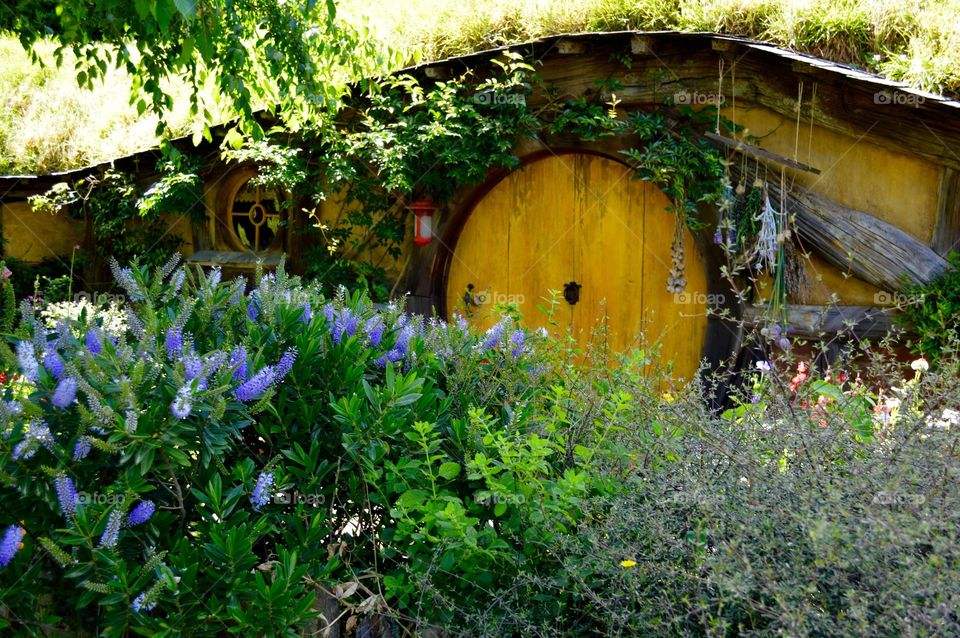 Hobbit Hole, Hobbiton Film Set, New Zealand