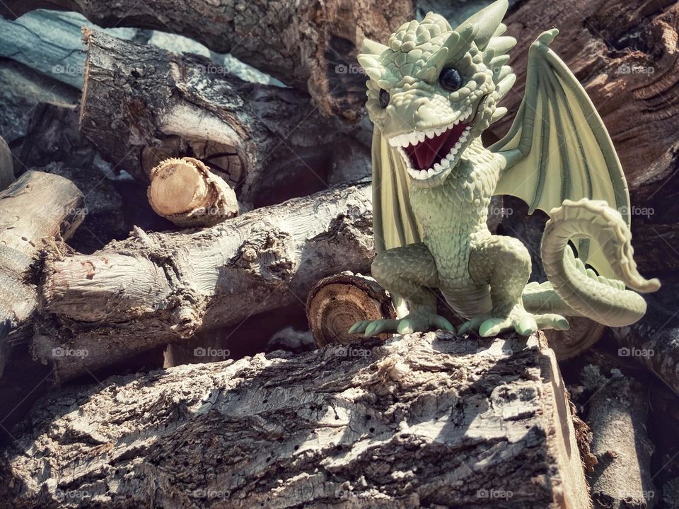 the dragon of game of thrones