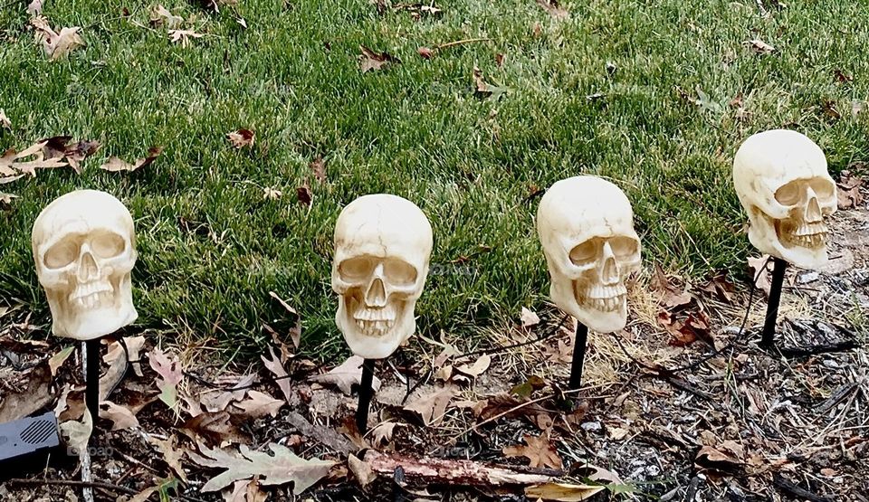 Lighted Skulls