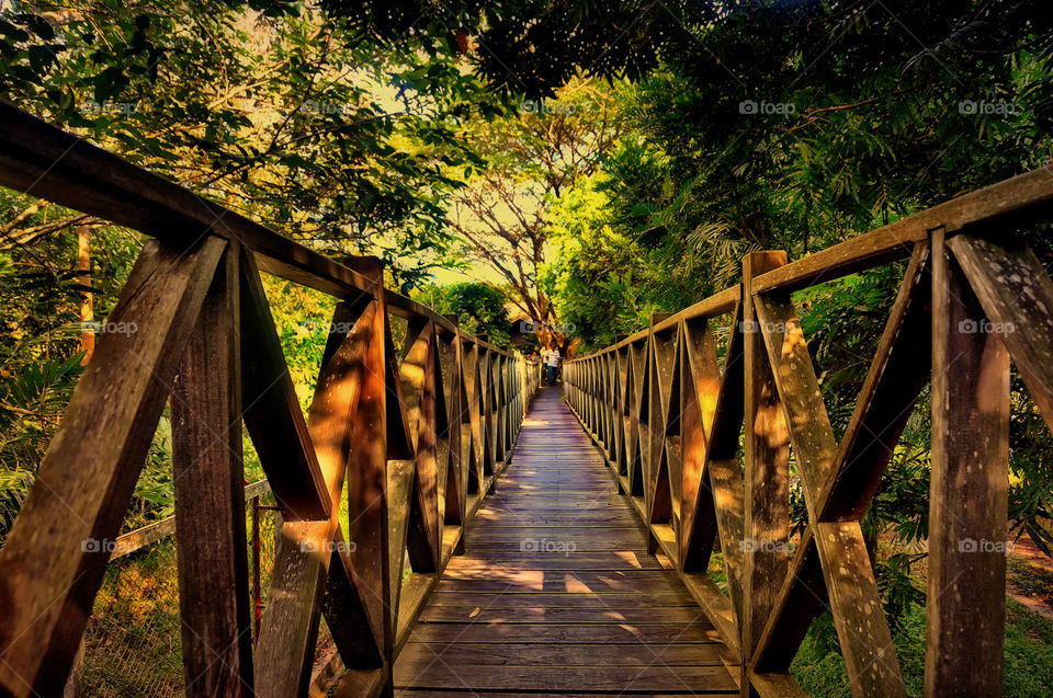 bridge at waduk panji