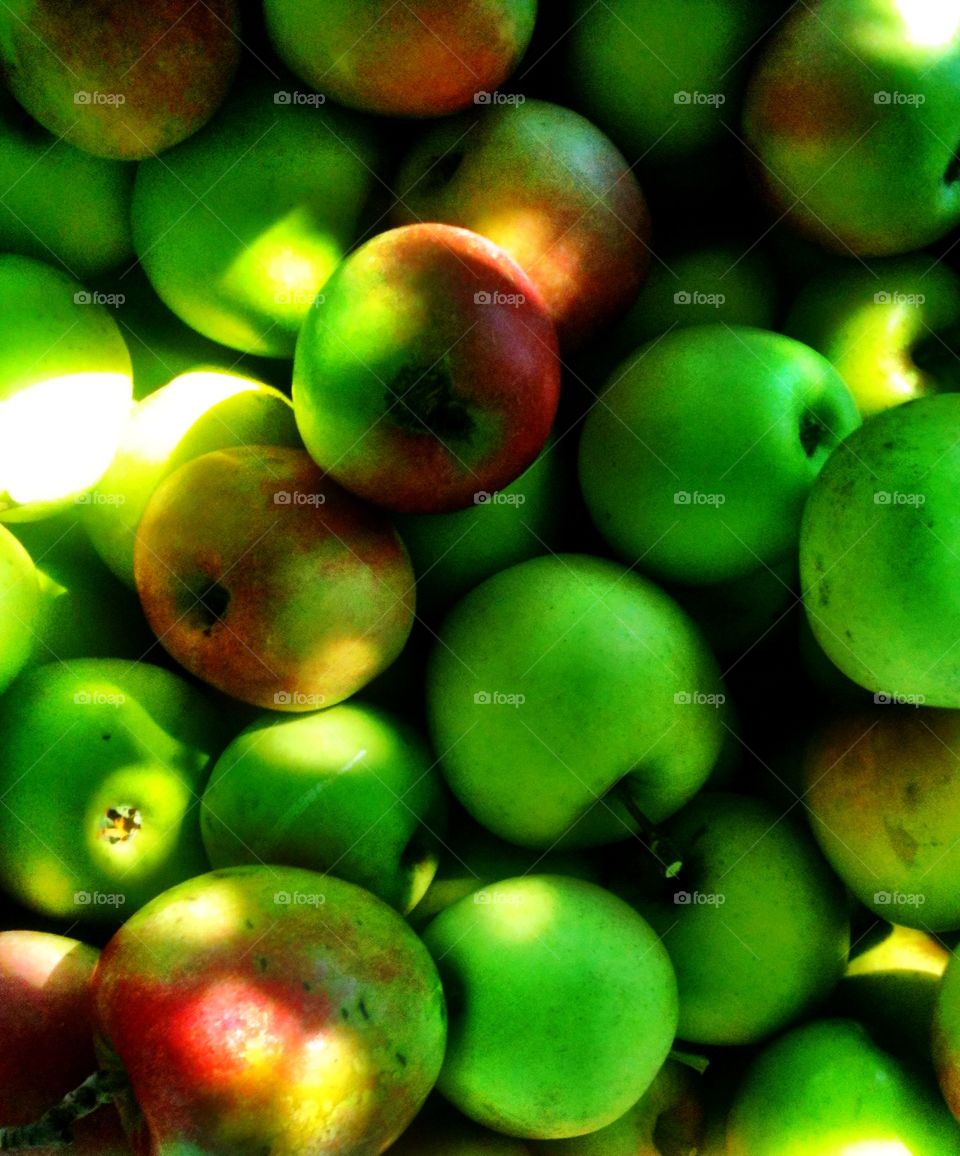 A bushel. Lots of apples