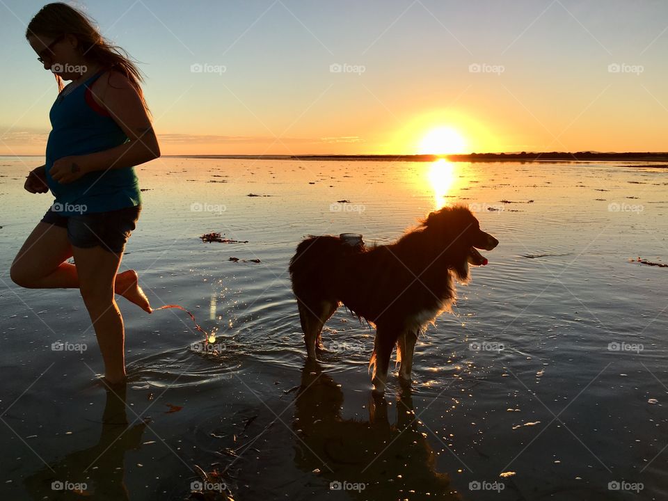 Young girl with pet Border Collie in ocean at sunset