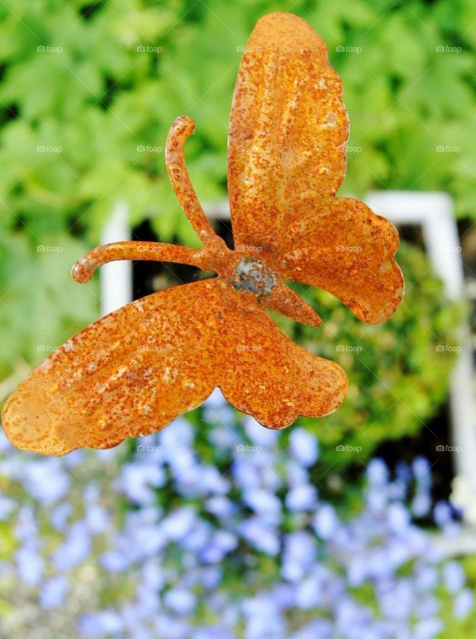 garden summer butterfly blomma by merethe