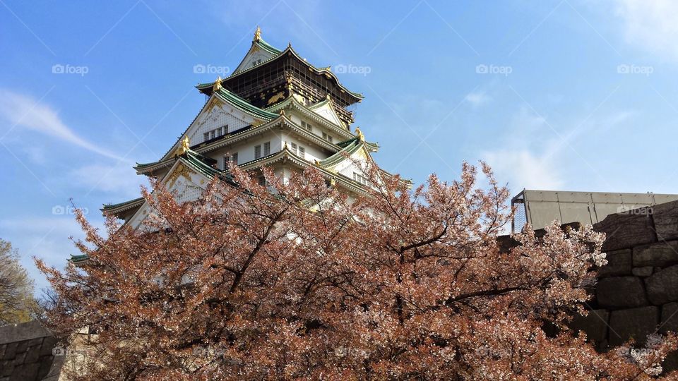 Osaka Castle in the Spring. I visited Osaka Castle in the Spring of this past year, and fell in love with this lovely building and its brutal past.