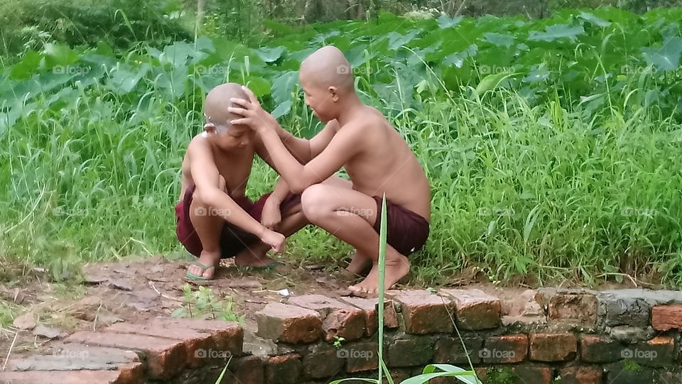 buddish monk in myanmar