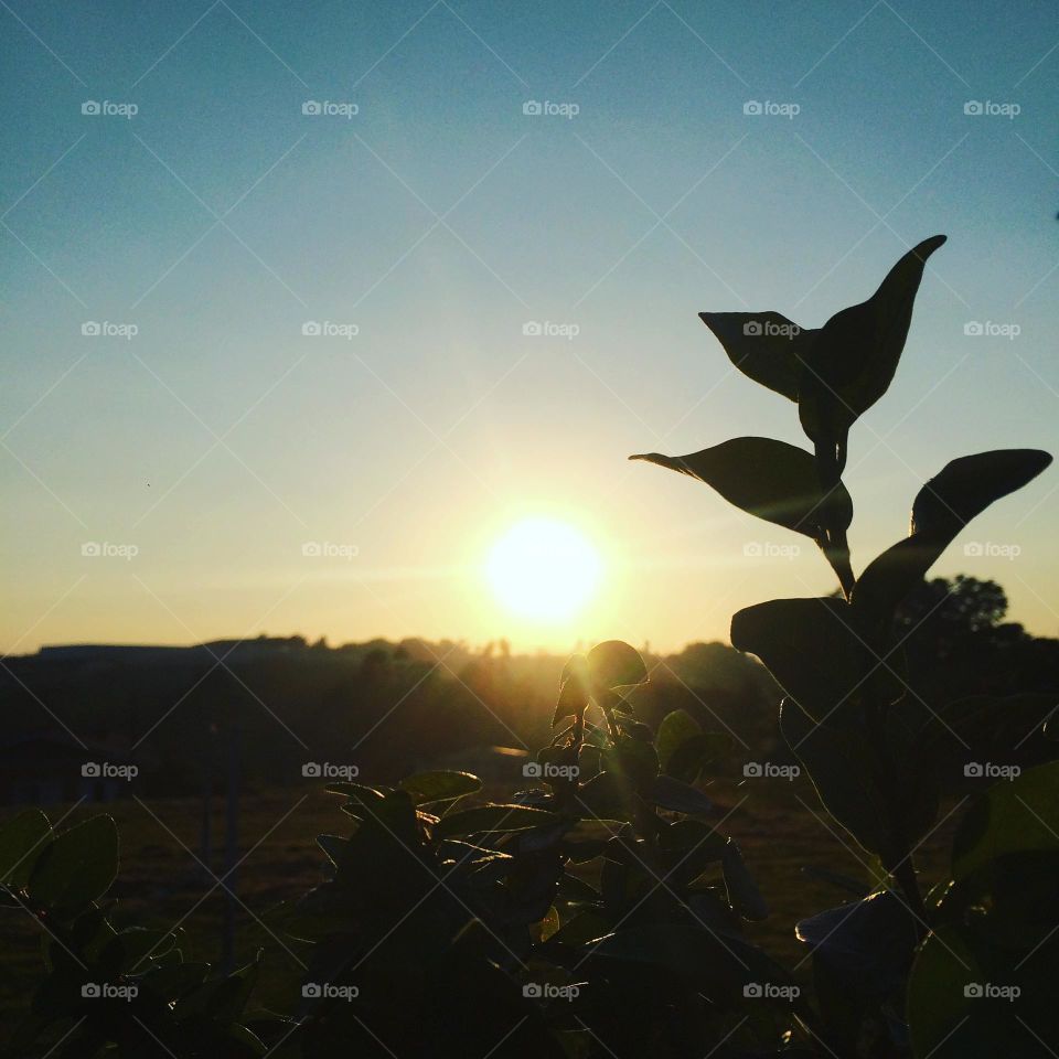 🌄🇺🇸 An extremely beautiful dawn in Jundiaí, interior of Brazil. Cheer the nature! / 🇧🇷 Um amanhecer extremamente bonito em Jundiaí, interior do Brasil. Viva a natureza! 