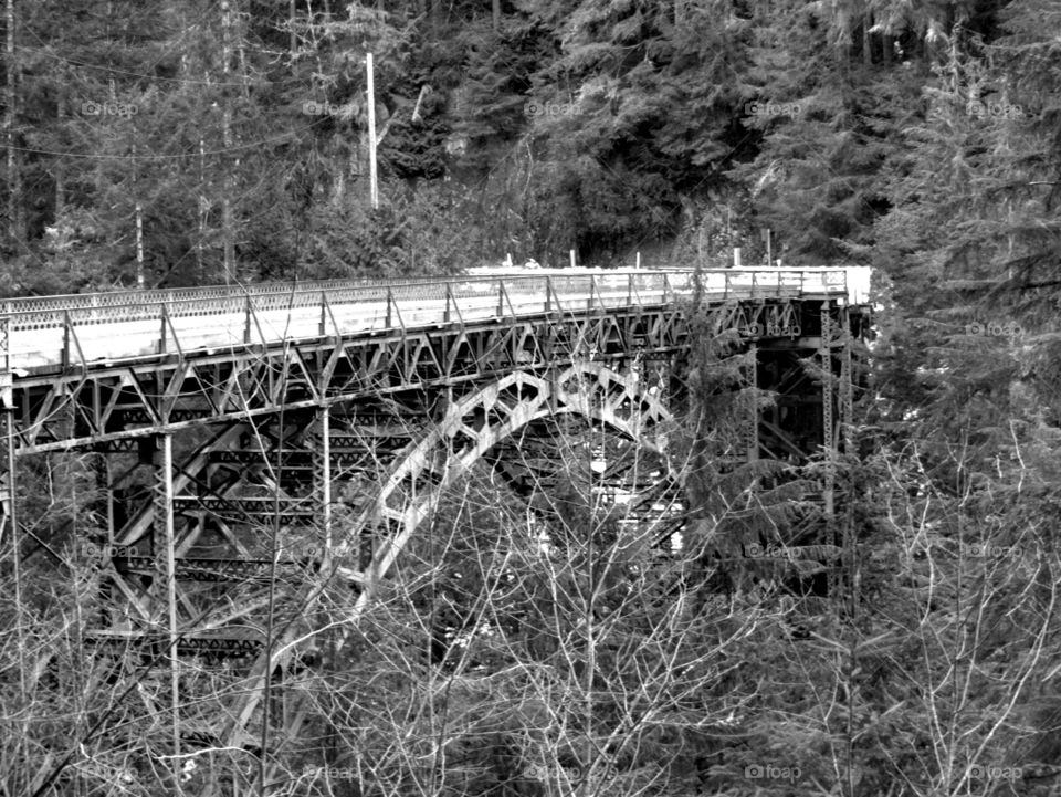 Carbon River bridge
