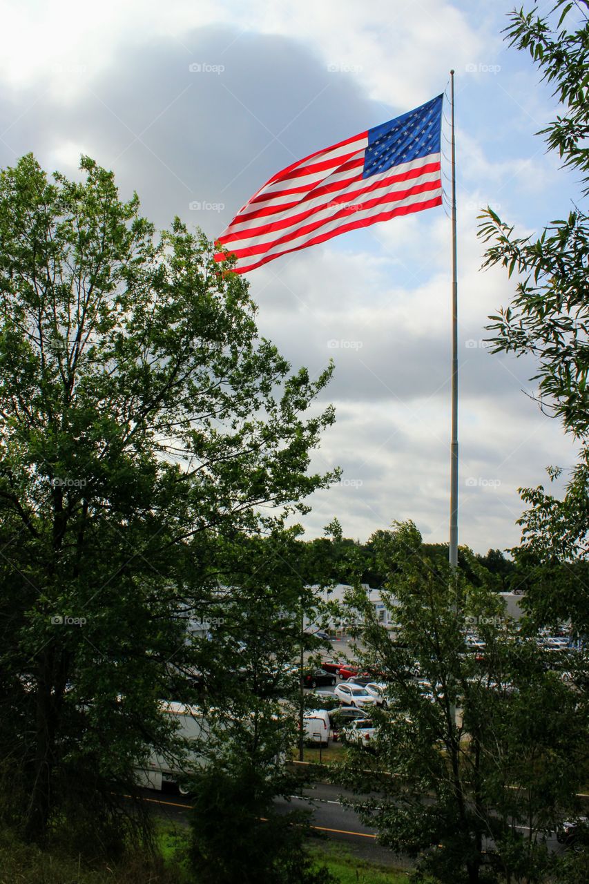 Favorite Flags