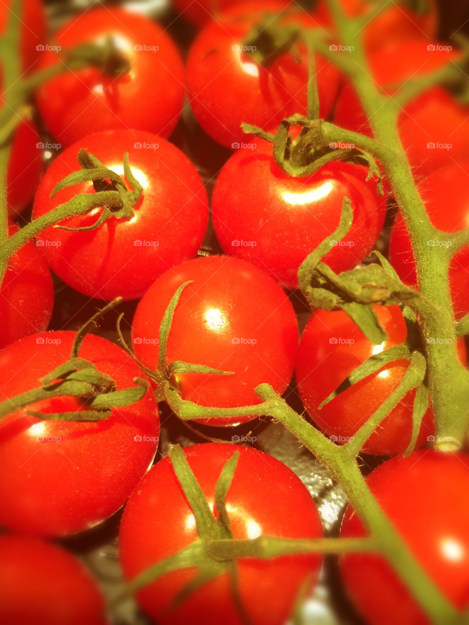 Close-up of cherry tomatoes