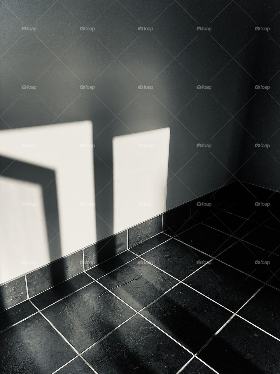 Black and white shadow