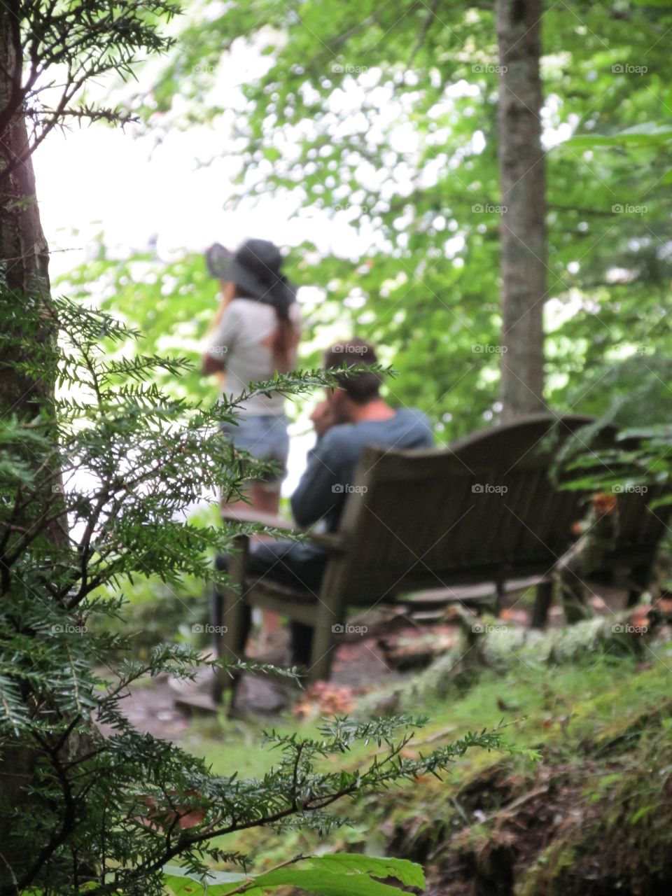 Mysterious Forest Overlook