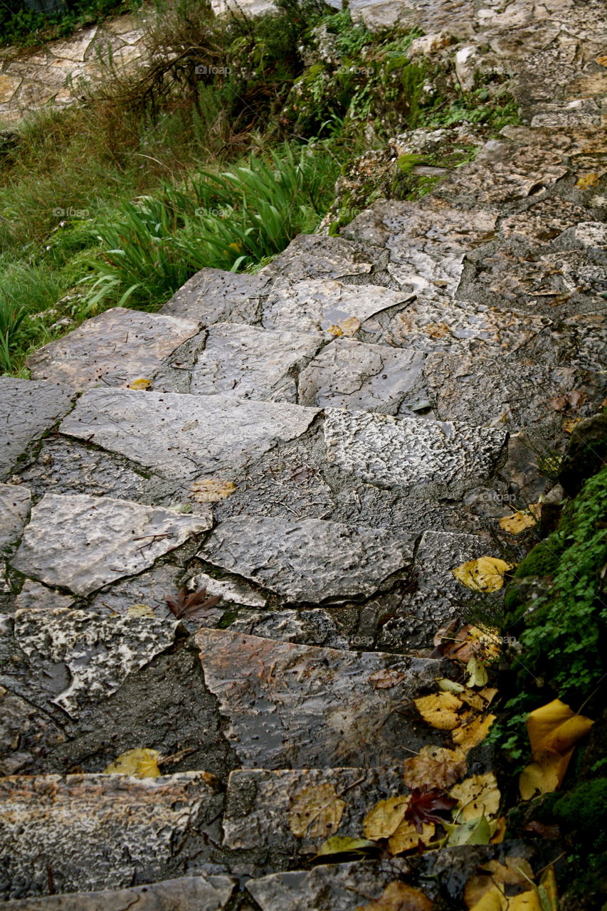 Steps leading to Autumn season