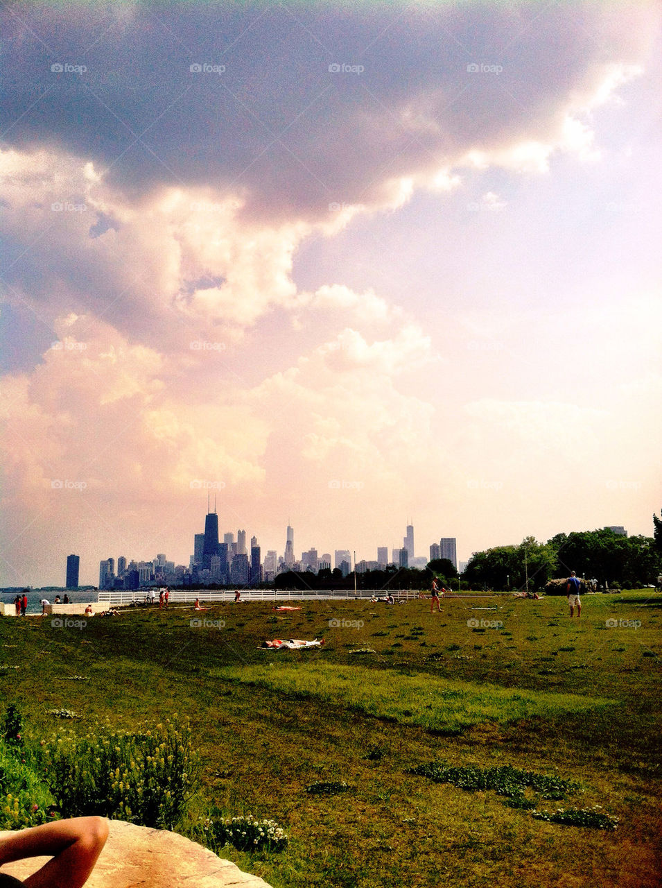 skyline chicago summertime lakefront by eryng83