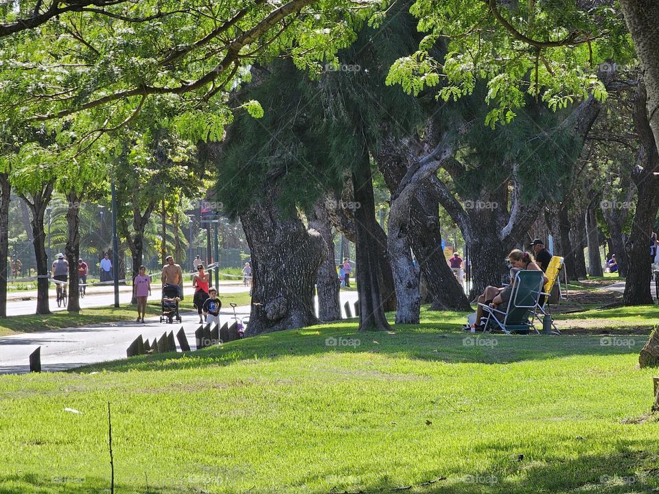 "Enjoying the outdoors on a Sunday". On a sunny day, some people run,  some walk, others chat, some sit and enjoy the day. Green grass and trees a street with no cars and people in the distance.