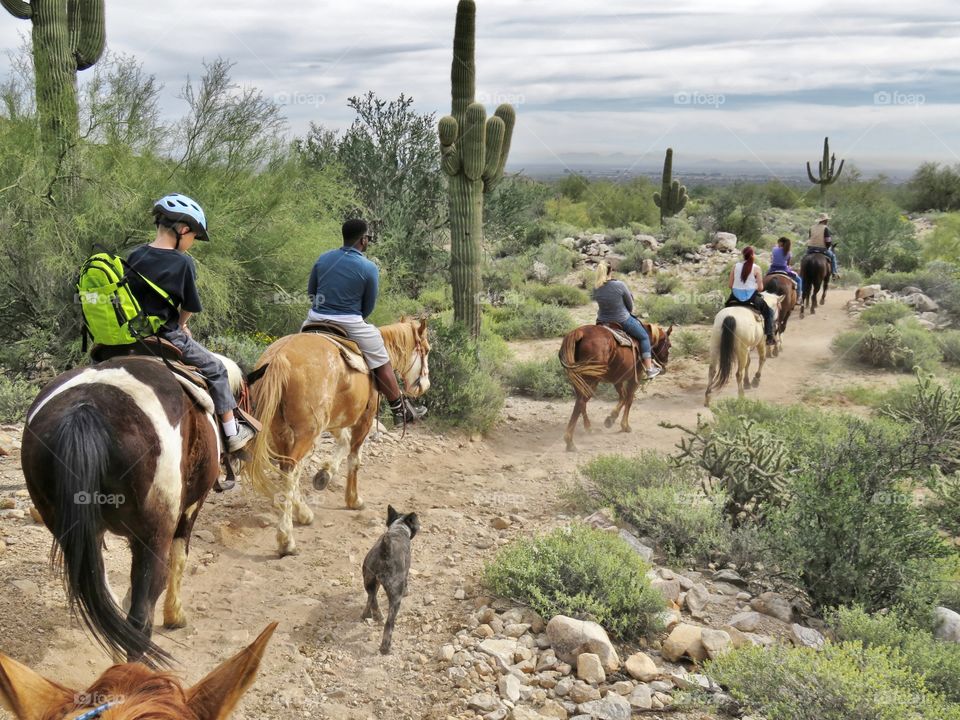 horseback riding in Arizona