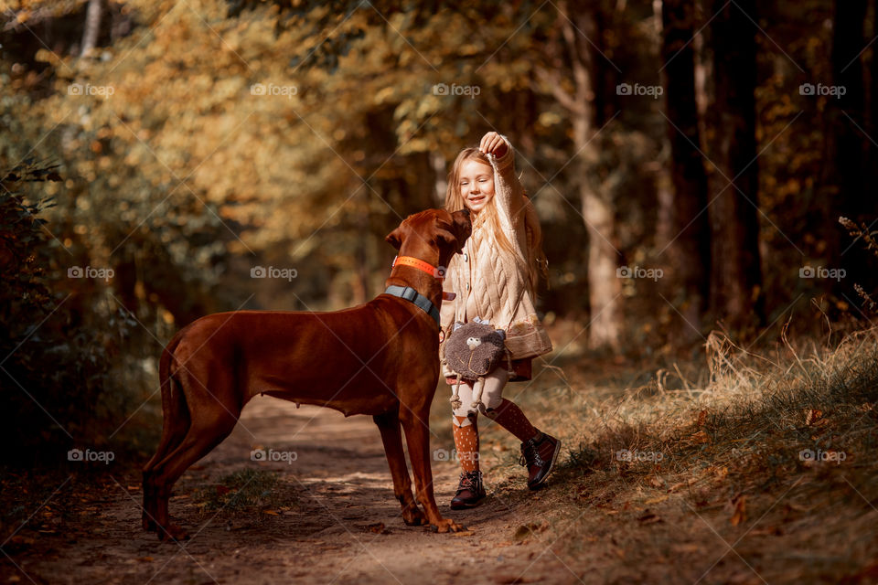 Little girl playing with dogs in an autumn park